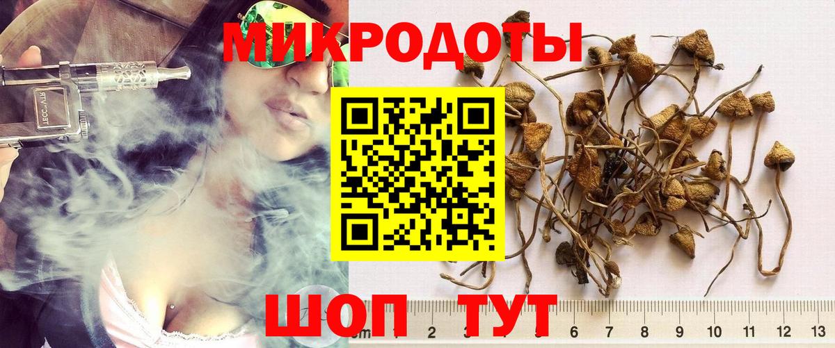 Псилоцибиновые грибы мицелий Волгоград