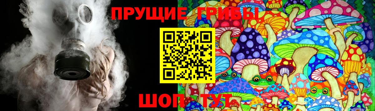 Волгоград  Псилоцибиновые грибы Cubensis  даркнет сайт  Вход с VPN 